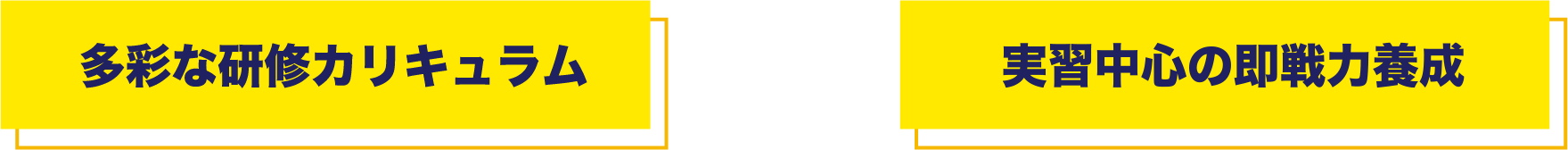 多彩な研修カリキュラム 実技中心の即戦力養成